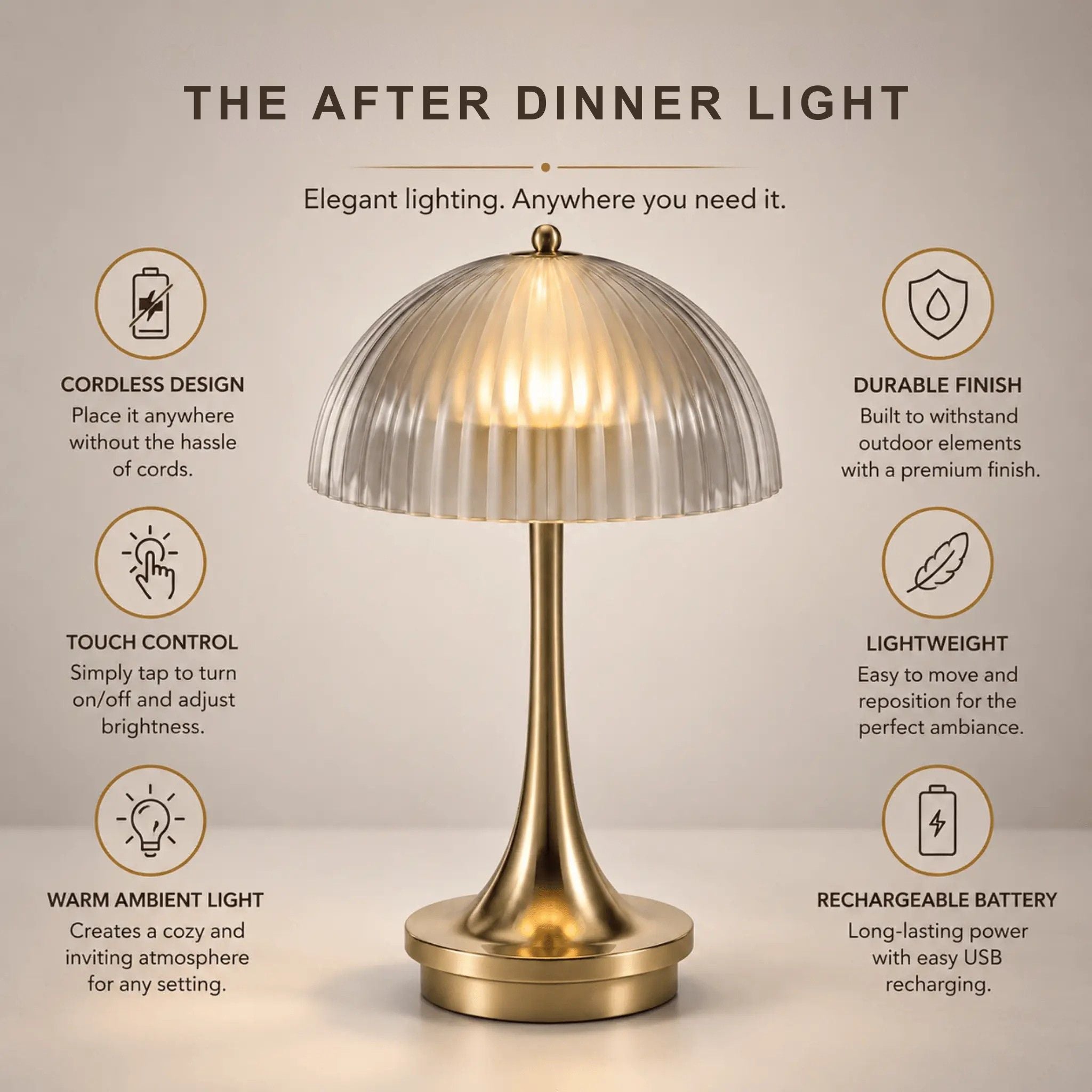 The After Dinner Light