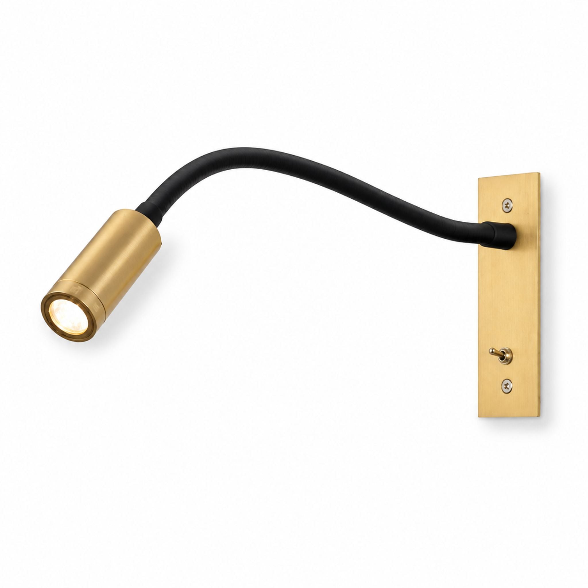 The Modern Gooseneck Wall Light